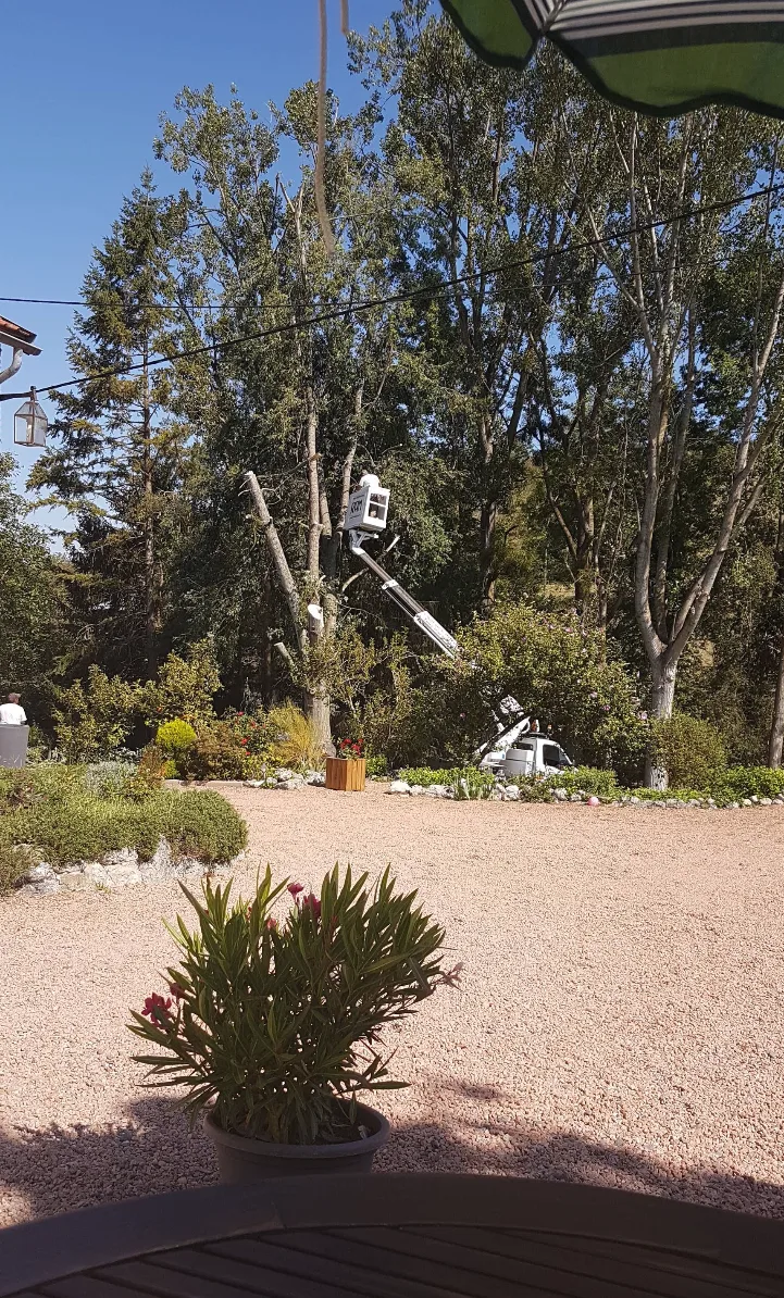 Intervention à la nacelle dans un jardin