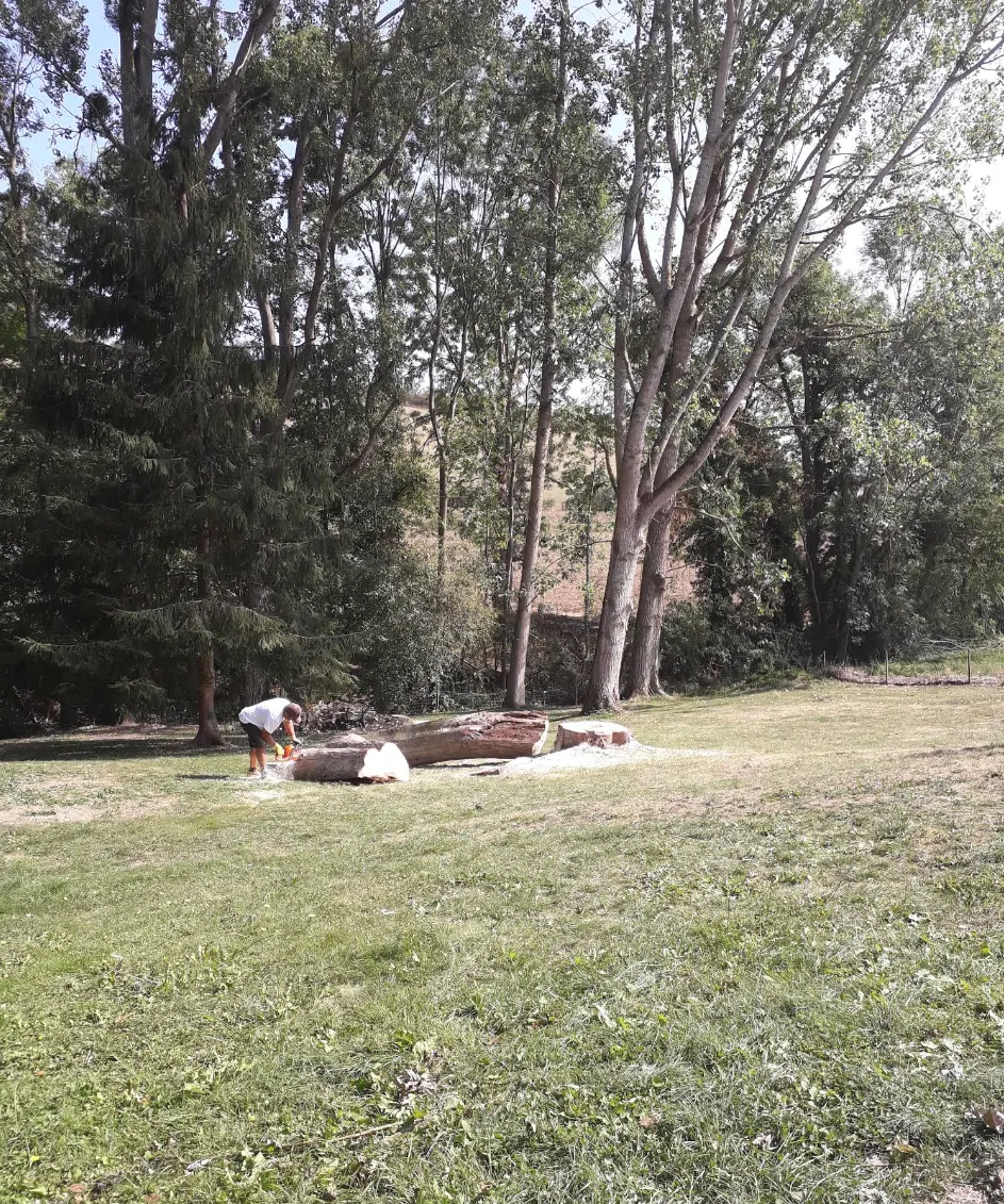 Chantier arboricole Metbach Paysagiste Élagage