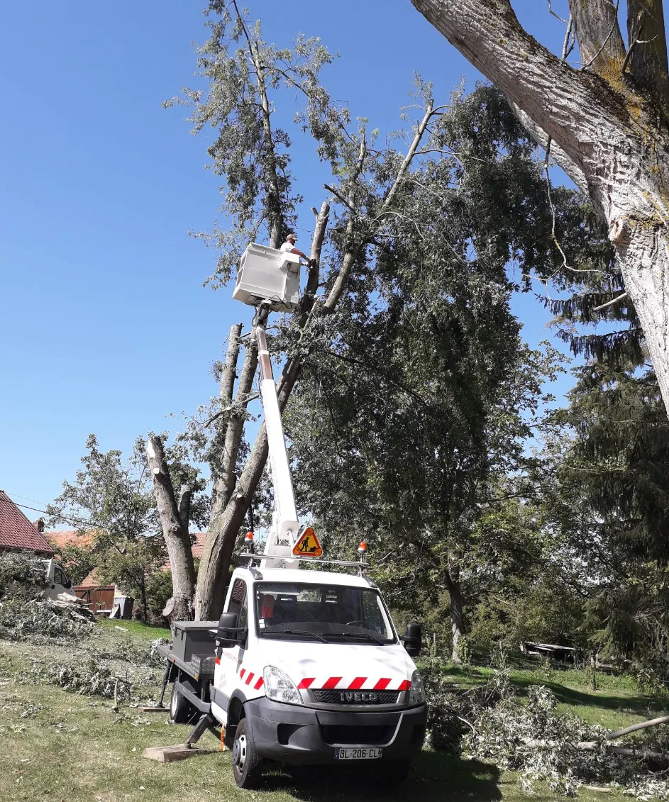 Chantier d’élagage réalisé avec une nacelle
